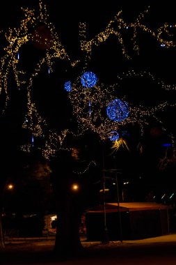 Şehir parkında çok renkli Noel ışıkları olan dekore edilmiş bir ağaç.