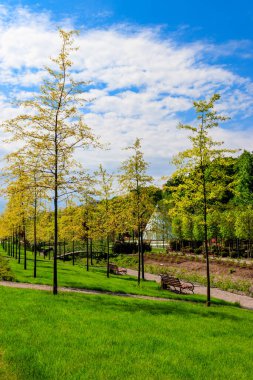 Şehir parkının güzel manzarası küçük nehir ve genç ağaçlar arasında kemerli yaya köprüsü var.