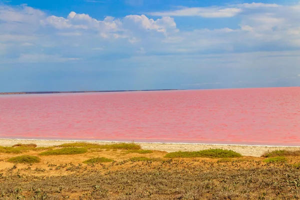 View Pink Salty Syvash Lake Kherson Region Ukraine Royalty Free Stock Images