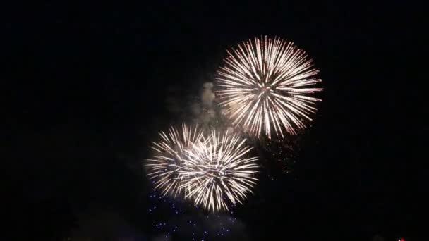 Erstaunlich Buntes Feuerwerk Der Nacht — Stockvideo