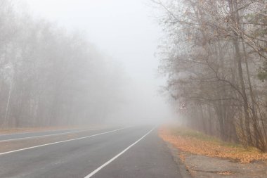 Sonbaharda ormanda sisli asfalt yol