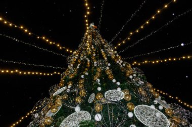 Geceleyin çok renkli ışıklarla süslenmiş Noel ağacı
