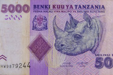 Beş bin Tanzanya şilininin makro çekimi.