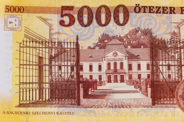 000张匈牙利福林钞票的宏观拍摄 — 图库照片
