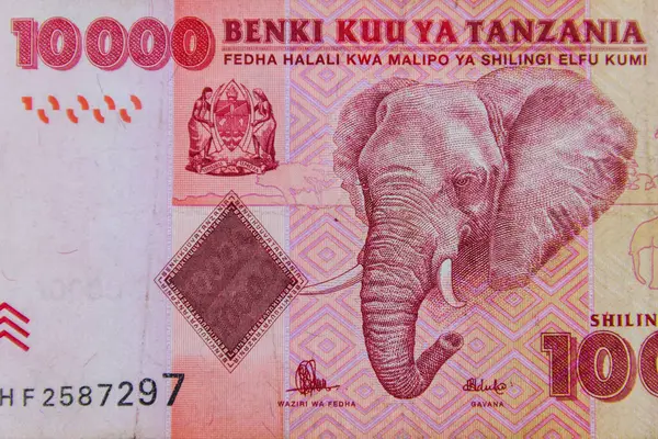 Makroaufnahme Der Zehntausend Tansanischen Schilling Banknote Stockbild