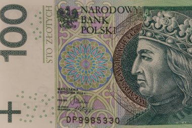 100 Polonyalı zloti banknotunun makro çekimi