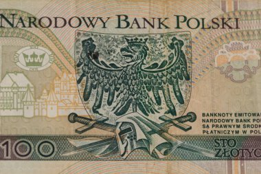 100 Polonyalı zloti banknotunun makro çekimi