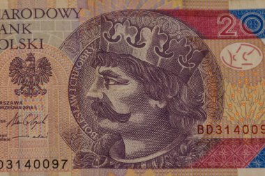 20 Polonyalı zloti banknotunun makro çekimi