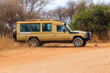 Tanzanya 'daki Tarangire Ulusal Parkı' nda off-car sürücüsü. Afrika 'da Safari