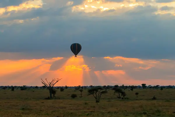 Hot Air Balloon Serengeti National Park Tanzania Sunrise Royalty Free Stock Photos