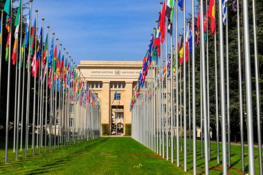 Birleşmiş Milletler üye ülkelerinin safları, İsviçre 'nin Cenevre kentindeki Birleşmiş Milletler Sarayı' nın önünde bayrak sallıyor.