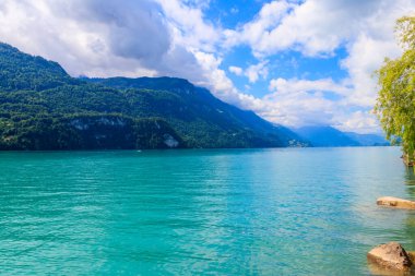 Brienz, İsviçre 'de Brienz Gölü ve İsviçre Alpleri manzarası