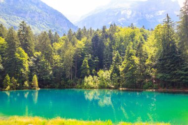 Blausee Gölü veya Bernese Oberland 'deki Mavi Göl, Kandergrund, İsviçre