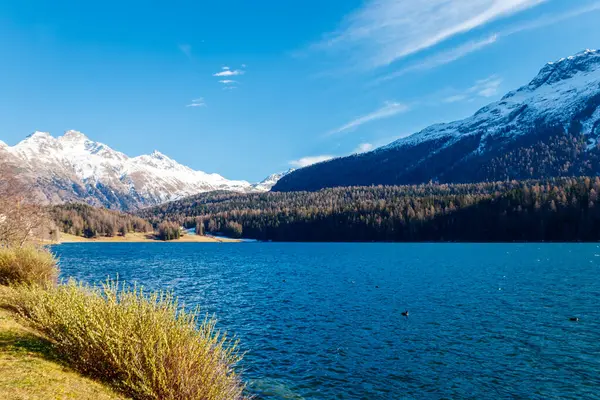 Вид Озеро Сен Озер Швейцарском Кантоне Ибб — стоковое фото