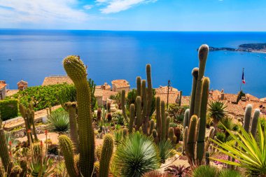 Akdeniz kıyılarının manzarası, ortaçağ evleri ve Fransız Rivierası 'ndaki Eze köyünün tepesinden gelen egzotik bahçeler.