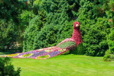 Tavuskuşu, Almanya 'nın Constance Gölü' ndeki Mainau adasındaki çiçeklerden yapılmıştır.