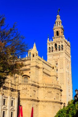 Seville Katedrali Seville, İspanya 'da Saint Mary Kilisesi