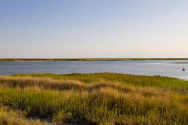 Ukrayna 'daki Sivash Gölü manzarası