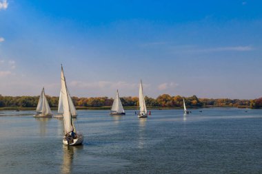 Kremenchug, Ukrayna 'daki Dinyeper Nehri' ndeki yelkenli yarışlarında yatlar