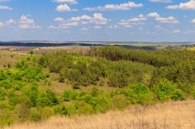 Yeşil ağaçlar, çayırlar, tarlalar ve mavi gökyüzü ile ilkbahar manzarası
