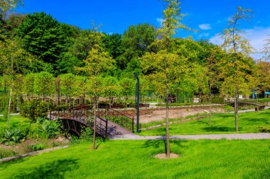Şehir parkının güzel manzarası küçük nehir ve genç ağaçlar arasında kemerli yaya köprüsü var.