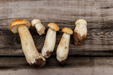 Köy ahşap masada taze toplanmış porcini mantarları. Üst görünüm