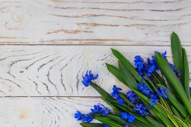 Beyaz ahşap arka planda mavi scilla çiçekleri. İlk bahar çiçekleri. Sevgililer Günü, Kadınlar Günü ve Anneler Günü için tebrik kartı. Üst görünüm, alanı kopyala
