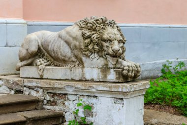 Ukrayna 'nın Kharkiv bölgesindeki Natalyevka emlak kompleksindeki güzel aslan heykeli