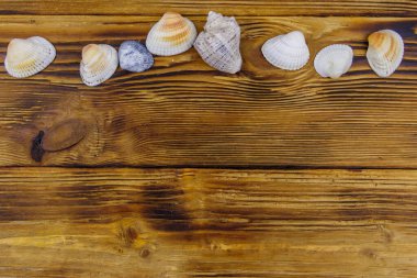 Kırsal ahşap arka planda deniz kabukları. Üst görünüm, alanı kopyala
