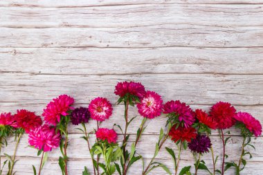 Ahşap arka planda Aster çiçekleri. Üst görünüm, alanı kopyala