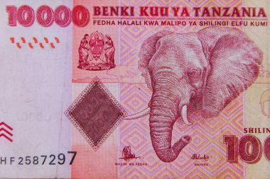 10 bin Tanzanya şilininin makro çekimi.