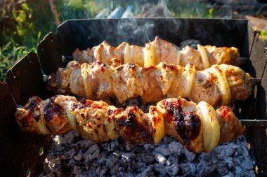 Metal şişte pişen ızgara kebap. Barbeküde kızartılmış et. Geleneksel doğu yemeği, şiş kebap. Kömür ve alevler üzerine ızgara, piknik, sokak yemekleri