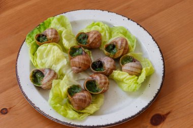 Salyangoz de Bourgogne (salyangoz) tereyağı, maydanoz, ahşap masada sarımsak