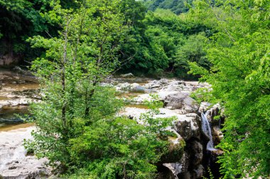 Georgia 'daki Martvili Kanyonu. Dağ nehri manzaralı güzel doğal kanyon Abasha