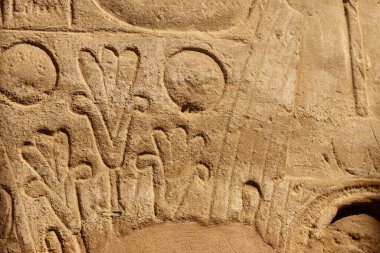 Mısır 'ın Luxor kentindeki Karnak Tapınağı Kompleksi' nin duvarında antik Mısır hiyeroglifleri var.