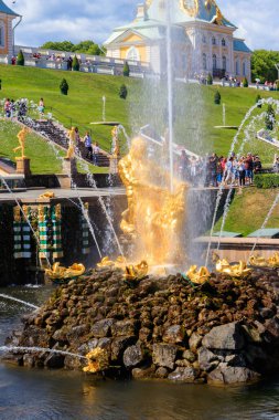 Peterhof, St. Petersburg, Rusya - 25 Haziran 2019: Petergof aşağı parkındaki Samson Çeşmesi