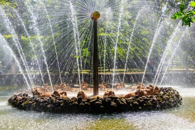 St. Petersburg, Rusya - 25 Haziran 2019: Saint Petersburg, Rusya 'daki Peterhof alçak parkında 