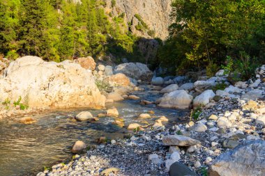 Antalya 'nın Kesme Bogaz kanyonunda bir dağ nehri manzarası