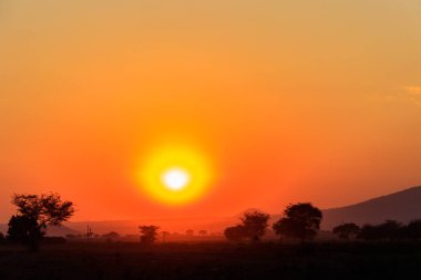 Tanzanya 'da savananın üzerinde güzel bir Afrika gün batımı