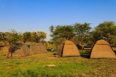 Serengeti Ulusal Parkı 'ndaki Safari kamp alanı, Tanzanya