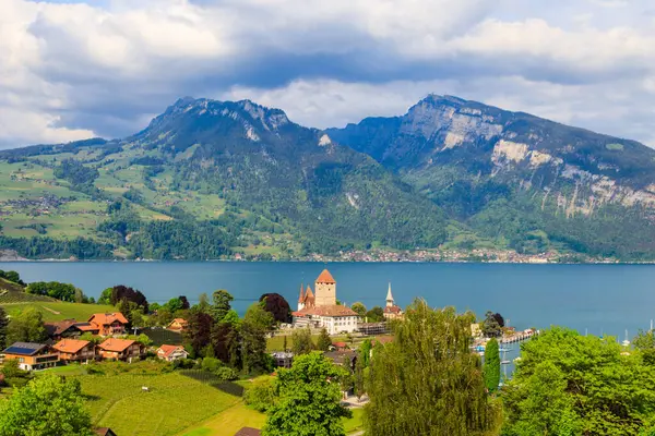 stock image Aerial view of Spiez town with Spiez castle and Lake Thun in the Bernese Oberland, Switzerland