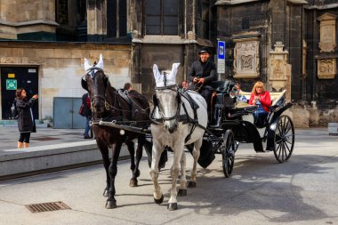 Viyana, Avusturya - 21 Eylül 2022: Viyana 'daki St. Stephen Katedrali yakınlarında at arabası çekildi