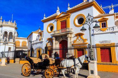 Seville, İspanya - 15 Aralık 2023 Sevilla, İspanya 'da Maestranza Bulvarı önünde at arabası