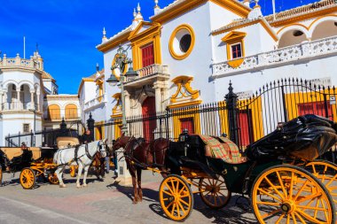 Seville, İspanya - 15 Aralık 2023: Sevilla, İspanya 'da Maestranza arenasının önünde at arabaları