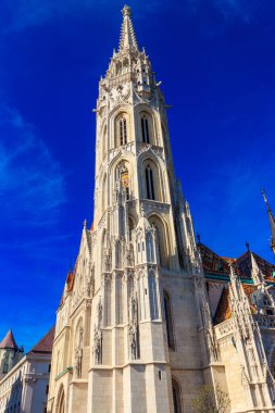 Buda Kalesi Varsayımı Kilisesi, Macaristan 'ın başkenti Budapeşte' deki Kutsal Üçleme Meydanı 'nda yer alan bir Katolik kilisesidir.