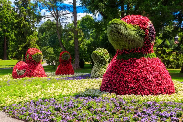 Çiçek adasındaki ördekler Constance Gölü 'ndeki Mainau, Almanya