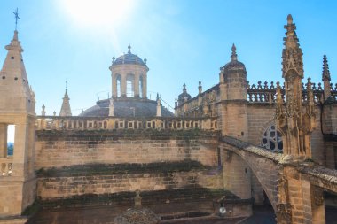 Çatıdaki Giralda Kulesi 'nden ve Sevilla Katedrali' nin kulelerinden şehrin manzarası Seville, İspanya 'da