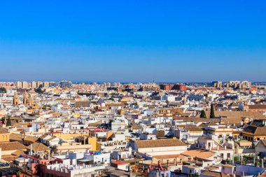 Sevilla, Endülüs, İspanya 'daki Giralda Kulesi' nin eski şehir çatılarının hava panoramik görüntüsü.