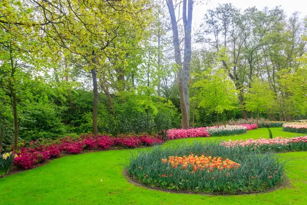 Hollanda, Lisse 'deki Keukenhof lale bahçesinin manzarası. Keukenhof dünyanın en güzel bahar bahçesidir. Hollanda, Lisse 'deki güzel süs bahçesi manzarası