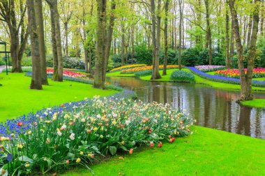 Hollanda, Lisse 'deki Keukenhof lale bahçesinin manzarası. Keukenhof dünyanın en güzel bahar bahçesidir. Hollanda, Lisse 'deki güzel süs bahçesi manzarası